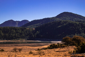 Cold spring in the mountain