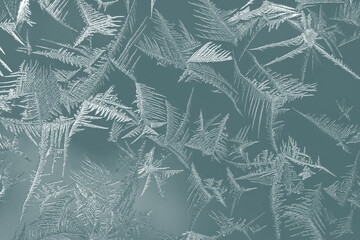 Frosty patterns on the window. Ice crystals on a winter window in high resolution, close-up