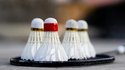 Multiple Badminton shuttlecocks on top of a badminton racket.