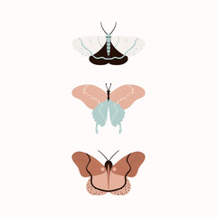 Set of 3 Butterflies in peach nougat, soften brown, jade green and creamy white colors on bright background for your fashion graphic designs as T-shirt prints, pajamas, bedding sets, fabrics and logos