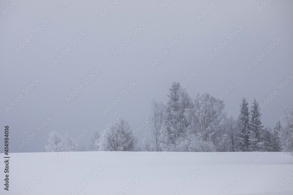 Wall mural Closeup shot of snow-covered mountains on a winter day