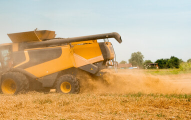 Fototapeta premium Wheat harvesting on field in summer season. Wide chaff spreading by combine harvester with rotor separation. Process of gathering crop by agricultural machinery: cuts and threshes ripe wheat grain
