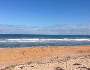 Beach Blue Sky Sand with Seagulls