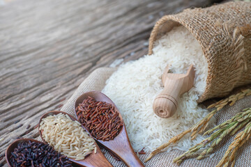 Variety type and color of rice ; paddy rice, riceberry ,brown coarse rice and white thai jasmine rice in wooden spoon isolated on old rustic wood table background. Healthy food concept.