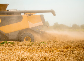 Wheat harvesting on field in summer season. Wide chaff spreading by combine harvester with rotor...