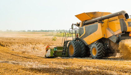 Fototapeta na wymiar Rotary straw walker cut and threshes ripe wheat grain. Combine harvesters with grain header, wide chaff spreader reaping cereal ears. Gathering crop by agricultural machinery on field on summer season