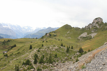 Fototapeta na wymiar Mt. Schynige Platte in Alps near the Interlaken, Switzerland.