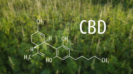 Cannabis plants with the CBD chemical formula. Cannabidiol molecule.