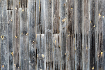 the Old wooden fence texture