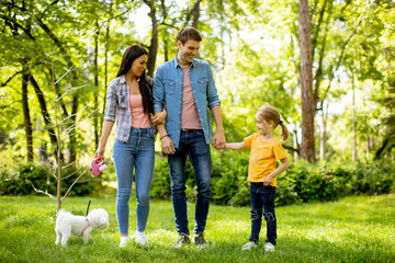 Naklejka na ściany i meble Happy family with cute bichon dog in the park