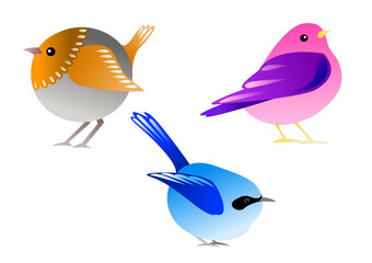 Vector illustration of funny birds. Digital illustration. 