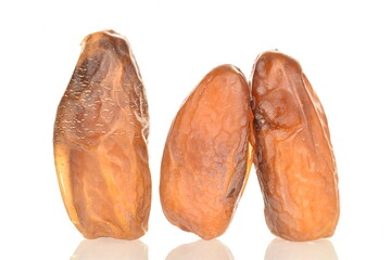 Three dried organic dates, close-up, isolated on white.