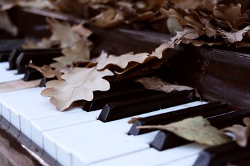 keys