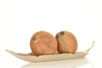 Two ripe organic coconuts with metallic decor, close-up, isolated on white.