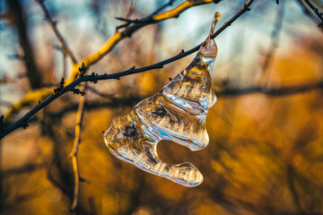 icicles colored by sunlight