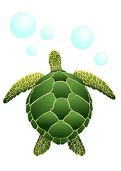 Vector illustration of turtle. Digital art. 