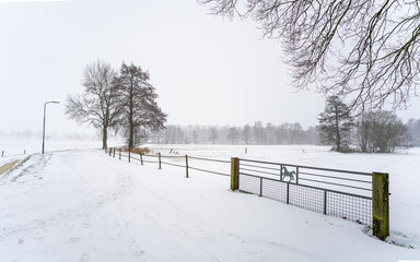 View over nature reserve or protected landscape outside of Loenen at edge of Veluwe and IJsselvallei (IJssel valley) in the Netherlands