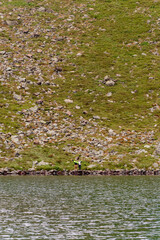 A couple of tourists stand on the edge of a mountain lake, Lake Brebeneskul, the Montenegrin ridge, the Carpathians of Ukraine.