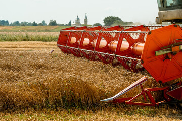 Rotary straw walker combine harvester cuts and threshes ripe wheat grain. Platform grain header...