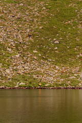 Two boys are standing by the water, two brothers are looking at the lake, the reflection in the water, the alpine lake Brebeneskul.