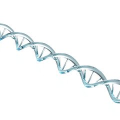 dna strand on background, glass abstract rendering illustration Deoxyribonucleic acid is a molecule composed of two polynucleotide chains that coil around each other to form a double helix