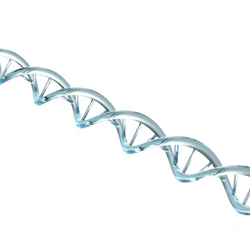 dna strand on background, glass abstract rendering illustration Deoxyribonucleic acid is a molecule composed of two polynucleotide chains that coil around each other to form a double helix