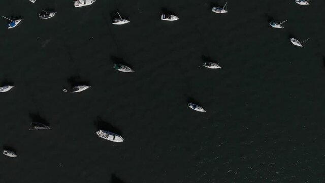 Barcos