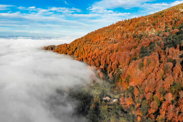 landscape in the mountains, Mazandaran province , Iran