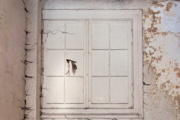 Abandoned palace with a piano in Bratoszewice, Poland 