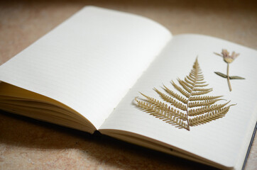 Minimalist desk mockup. Concept of writers journal. Nature meets work desk. Artistic and minimal journaling with dried ferns and natural lighting. 