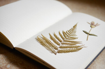 Minimalist desk mockup. Concept of writers journal. Nature meets work desk. Artistic and minimal journaling with dried ferns and natural lighting. 
