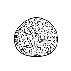 Delicate round sponge coloring book linear drawing isolated on white background