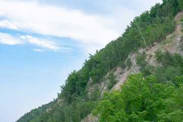 Fototapeta na wymiar Highland with green trees on rocks. Landscape with blue summer sky