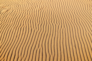 Close-up texture of the rippled surface of the sand and dunes, top view. Desert background