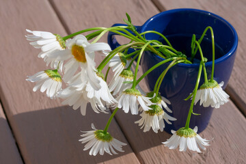 White withered chamomile flowers in vase as concept of sadness or depression