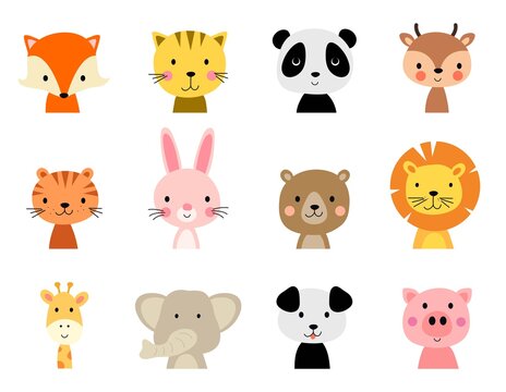 vector cute animal characters