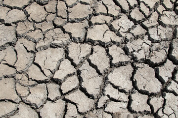 dry cracked soil
