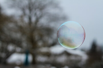 soap bubbles in the sky