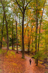 Obraz premium autumn in the Watkins Glen State Park, New York