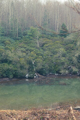 lake in the mountains