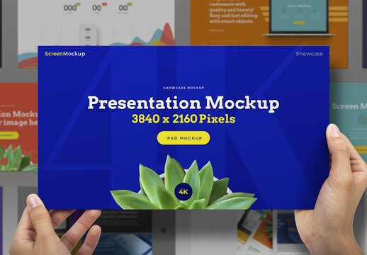 Hands Holding Presentation Mockup - Showcase, 4K