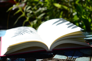 Minimal photo of book opening, spine of book on desktop. Artistic inspiration, book pages spilling open.
