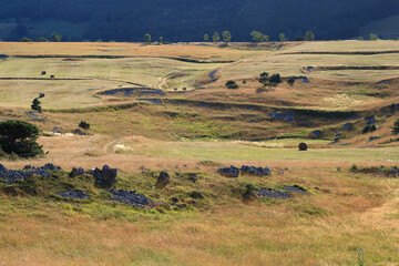 Hay bales in a meadow landscape near Vassieux en Vercors on a July evening (Drôme, France)