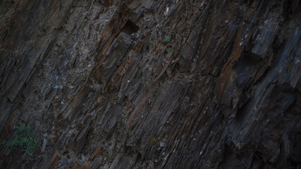 Beautiful Georgian mountains , Summer time