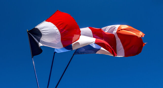 Closeup low angle shot of waving flags of France on poles under a clear blue sky