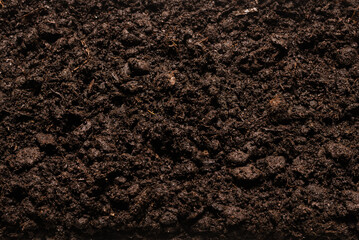 Black land for plant background.