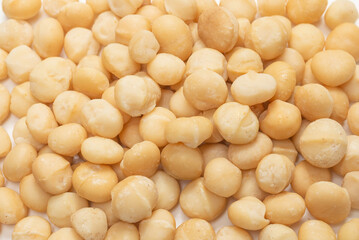 Macadamia nuts isolated on white background.