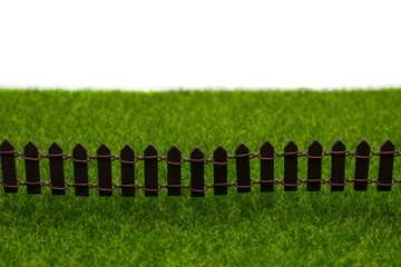 Obraz premium Green grass and fence isolated on white background.