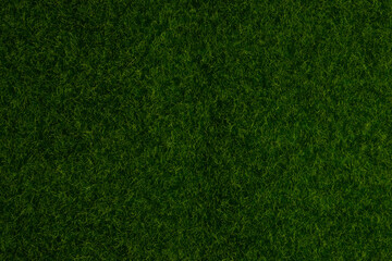 Green lawn background. Green grass.