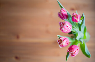 Spring flowers on a wooden background. Bouquet of tulips.
